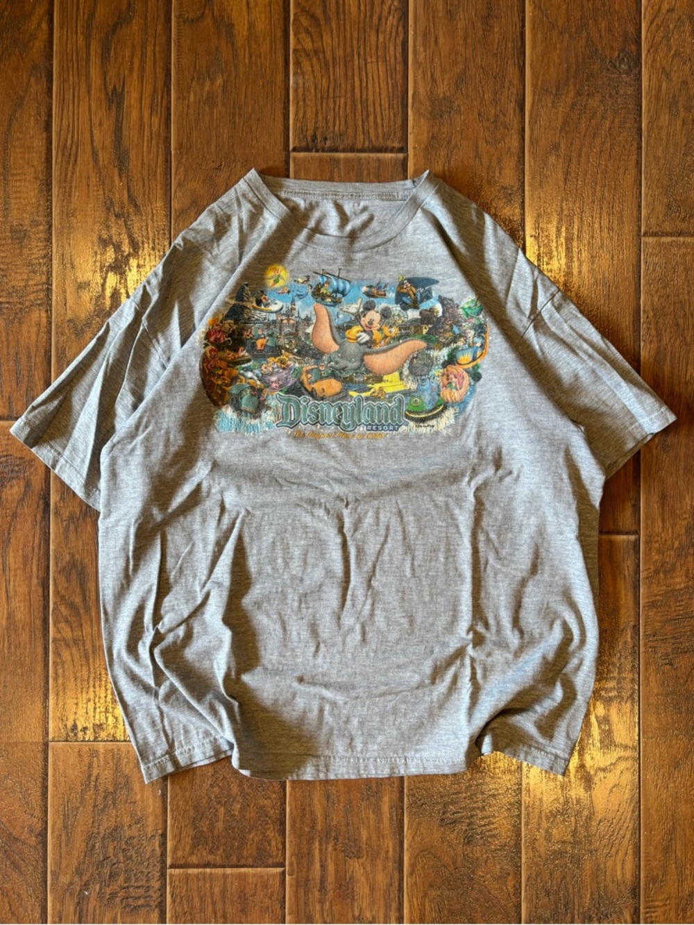 Vintage Y2K Disneyland/Pixar Characters Shirt